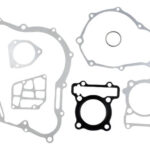 Juego Empaques Completo P/yamaha Fz16 | Promoto