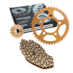 Engranes 42dx16d C/cadena 428h-136l Dorada | Promoto Platino Dorado