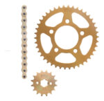 Engranes 42dx16d C/cadena 428h-136l Dorada | Promoto Platino Dorado - Imagen 2