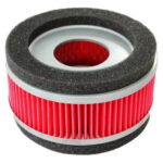 Elemento Filtro Aire P/italika Ds150 Gs150/gs150 | Promoto