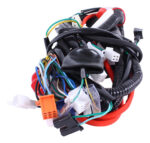 Arnes Completo Para Moto Ws150/ws175sport(trifásico) | Bost®