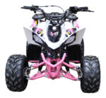 Mini Cuatrimoto Atv Niños Montable 110cc Motor A Gasolina Rosa - Imagen 4