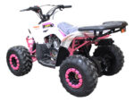Mini Cuatrimoto Atv Niños Montable 110cc Motor A Gasolina Rosa - Imagen 6