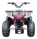 Mini Cuatrimoto Atv Niños Montable 110cc Motor A Gasolina Rosa - Imagen 7