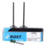 Juego De Valvulas Admision Y Escape Dm200 | Bost®