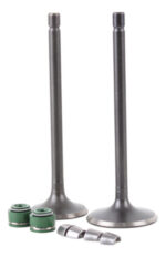 Juego De Valvulas Admision Y Escape Dm200 | Bost® - Imagen 2