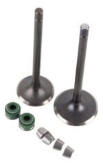 Juego De Valvulas Admision Y Escape Dm200 | Bost® - Imagen 3