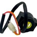 Relevador Arranque P/italika Ds125 12v | Rialli