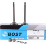 Juego De Valvulas Admision Y Escape Ybr125 | Bost®