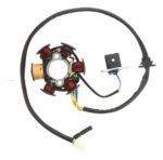 Estator Italika Dt110 Delivery 6 Bobinas | Promoto