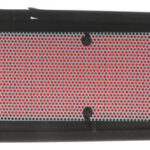 Filtro De Aire Para Yamaha Fz25 | Promoto Platino